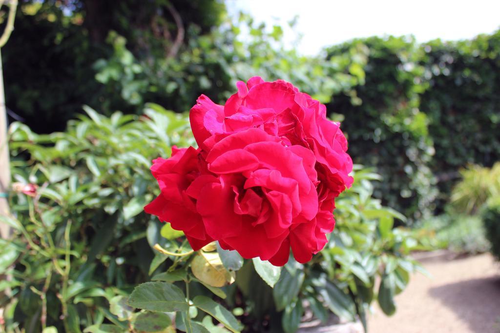 Den Bongaerd B&B And Wellness โตงเงอเริน ภายนอก รูปภาพ