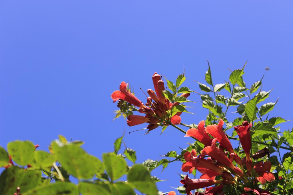 Den Bongaerd B&B And Wellness โตงเงอเริน ภายนอก รูปภาพ